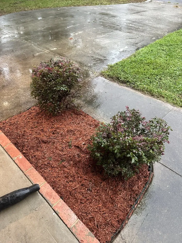 Local landscape design experts serving Knightdale, NC - Affordable Lawns