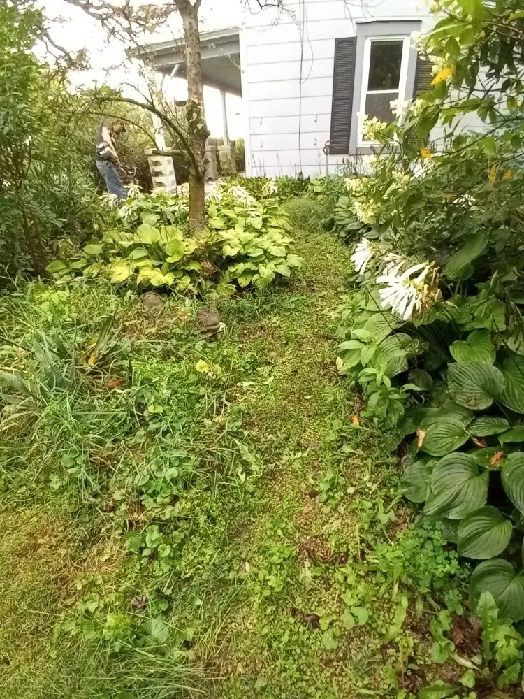 Trusted residential landscaping for residential properties across Marysville, OH - Affordable Lawns