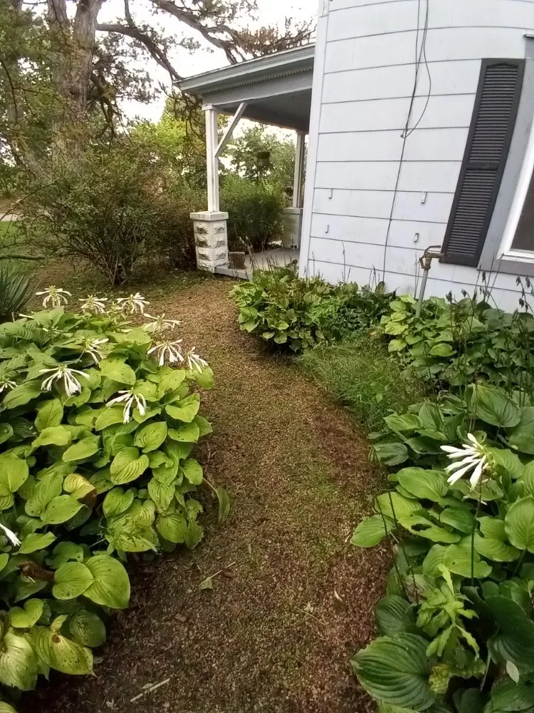 Reliable yard cleanup service in Marysville, OH - Affordable Lawns