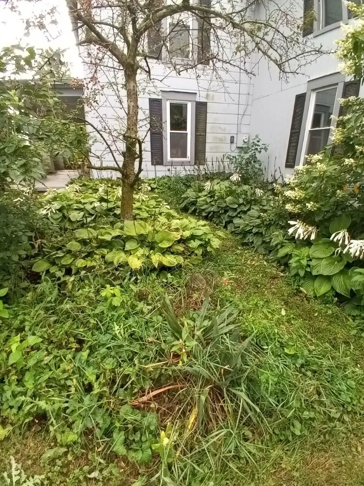 Trusted residential landscaping with custom design across Marysville, OH - Affordable Lawns