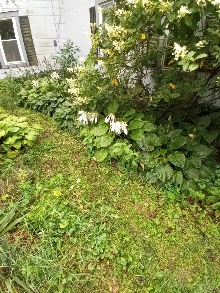 Top-rated landscaping services in Marysville, OH - Affordable Lawns