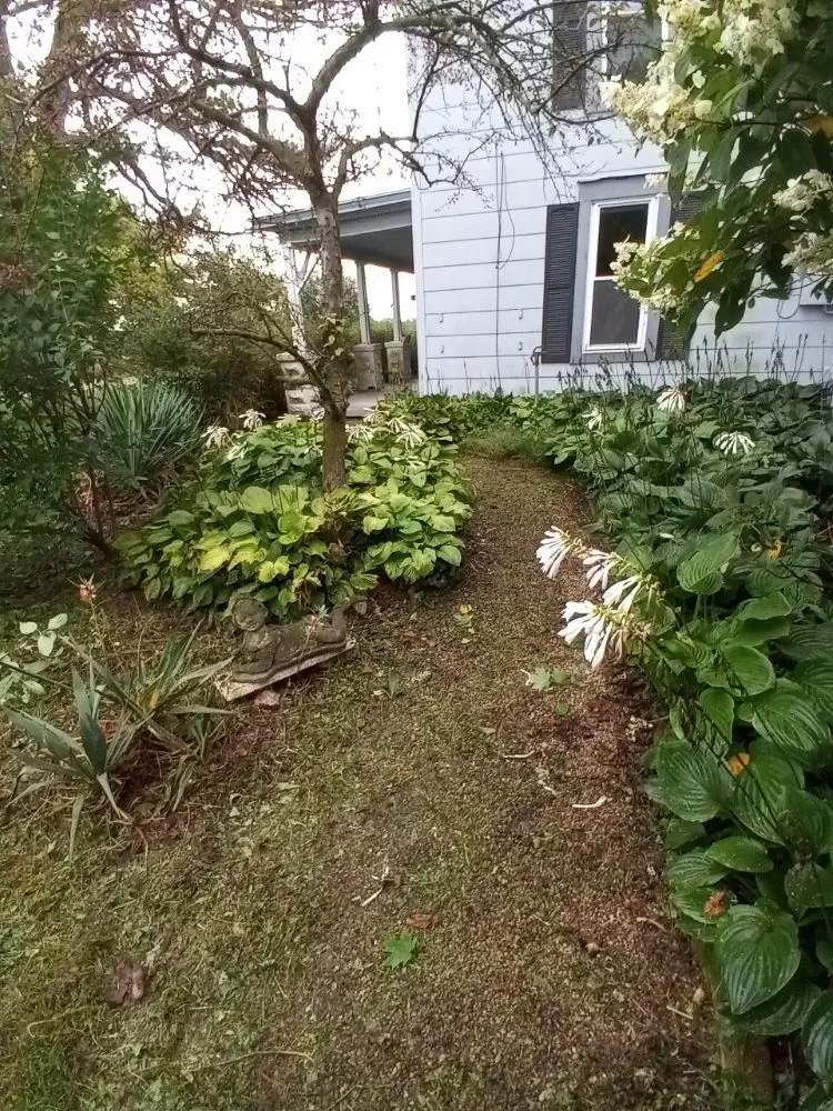 Reliable yard maintenance for year-round maintenance across Marysville, OH - Affordable Lawns