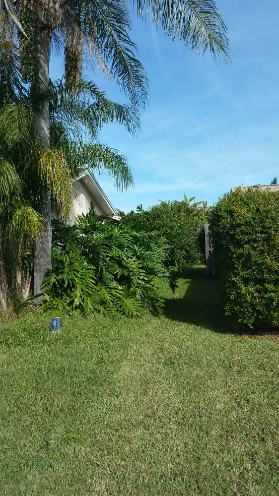 Local lawn mowing service for beautiful yards in Cape Canaveral, FL by Affordable Lawns Of Brevard