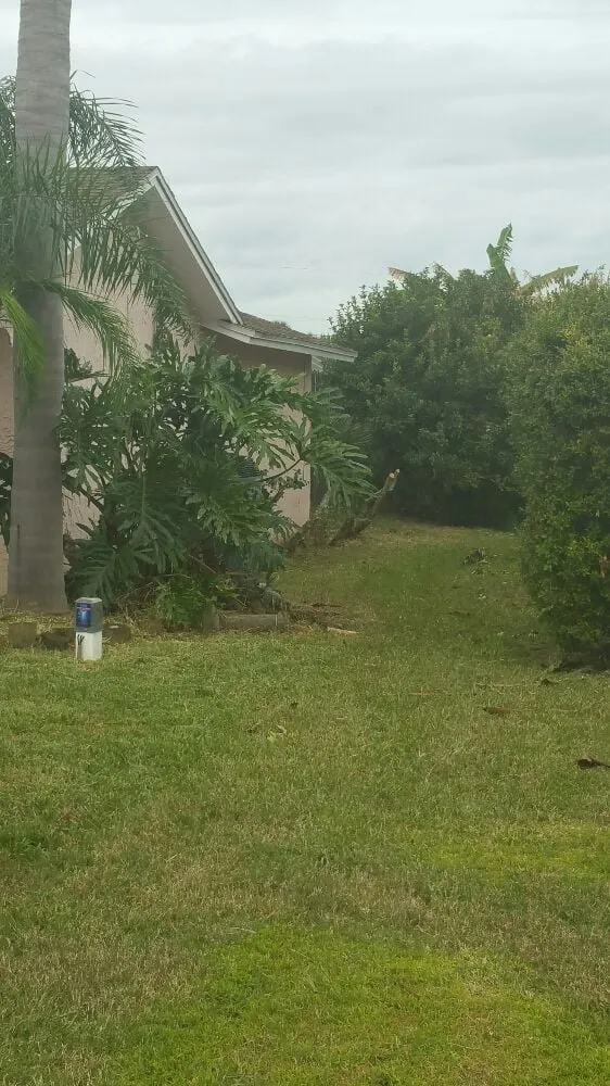 Top-rated lawn care service experts serving Cape Canaveral, FL - Affordable Lawns Of Brevard