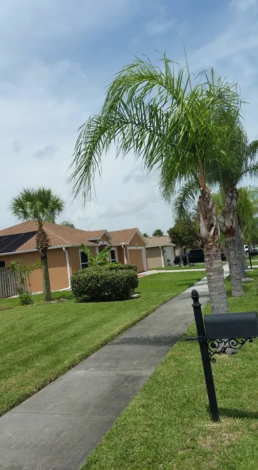 Affordable lawn mowing service for outdoor upgrades in Cape Canaveral, FL by Affordable Lawns Of Brevard