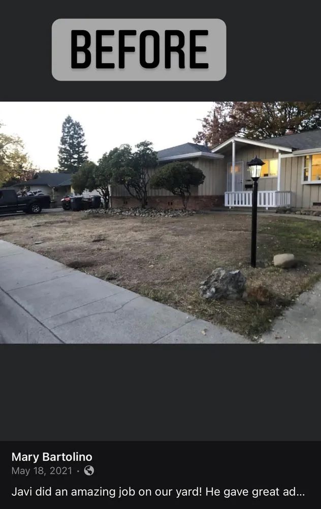 Local lawn mowing service for year-round maintenance in Citrus Heights, CA by Affordable Local Services