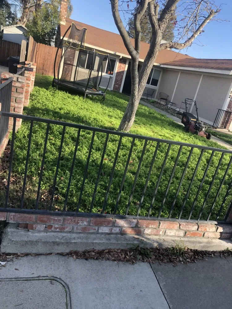 Top-rated yard cleanup service experts serving Citrus Heights, CA - Affordable Local Services