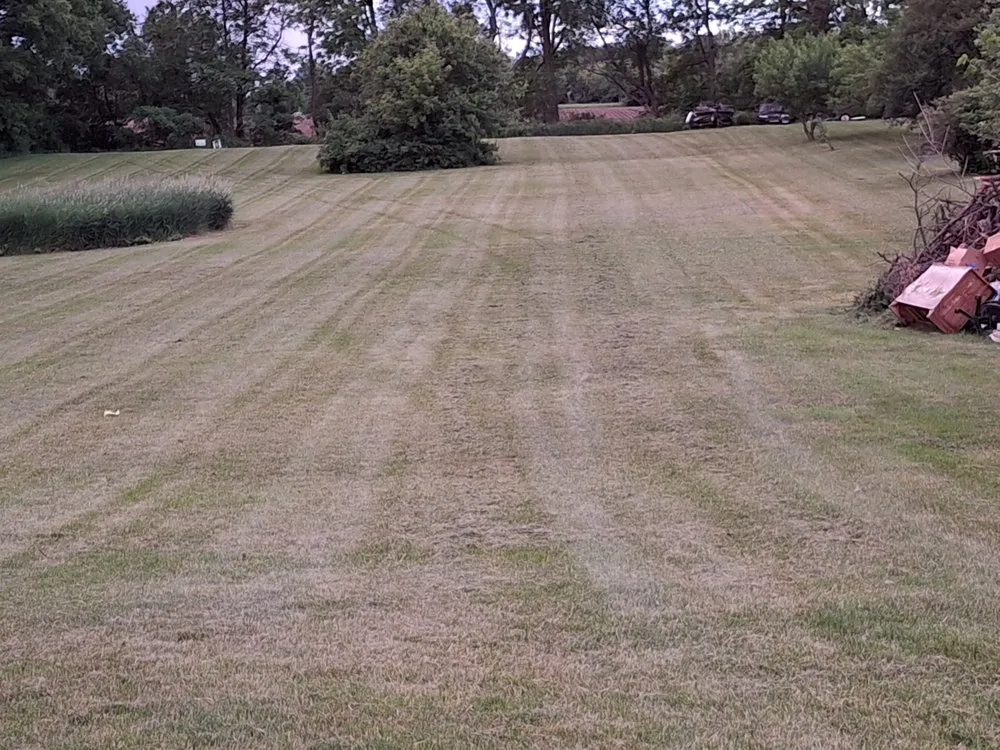 Top-rated lawn mowing service in Rockford, IL by Affordable Mowing And Services