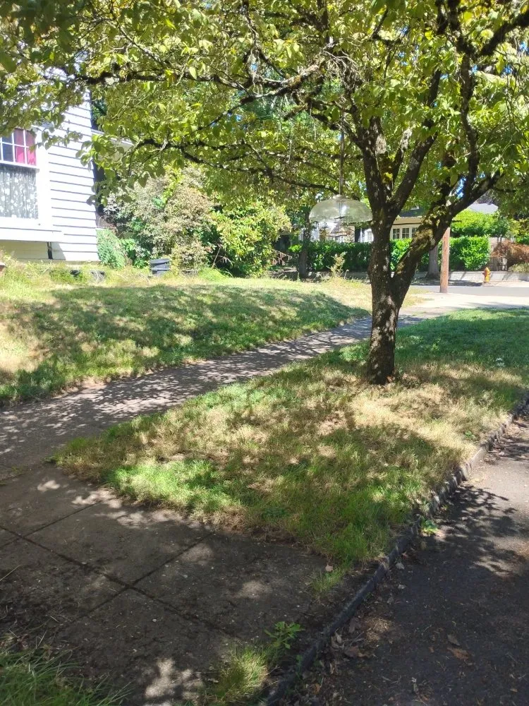 Professional garden landscaping in Portland, OR by Affordable Mowing
