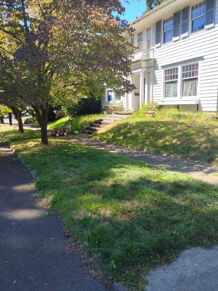 Reliable yard cleanup service in Portland, OR - Affordable Mowing