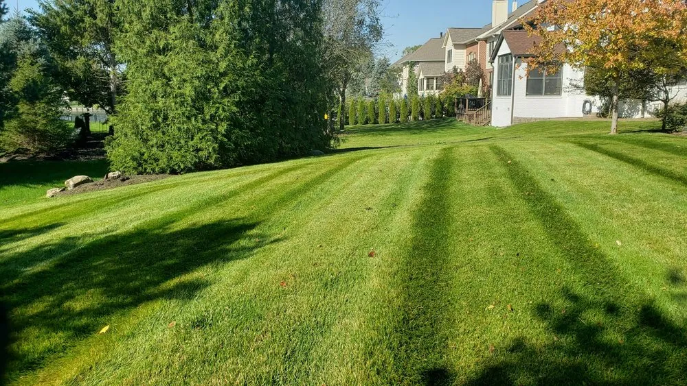 Top-rated landscape design near you in Indianapolis, IN by Affordable Mowing Solutions