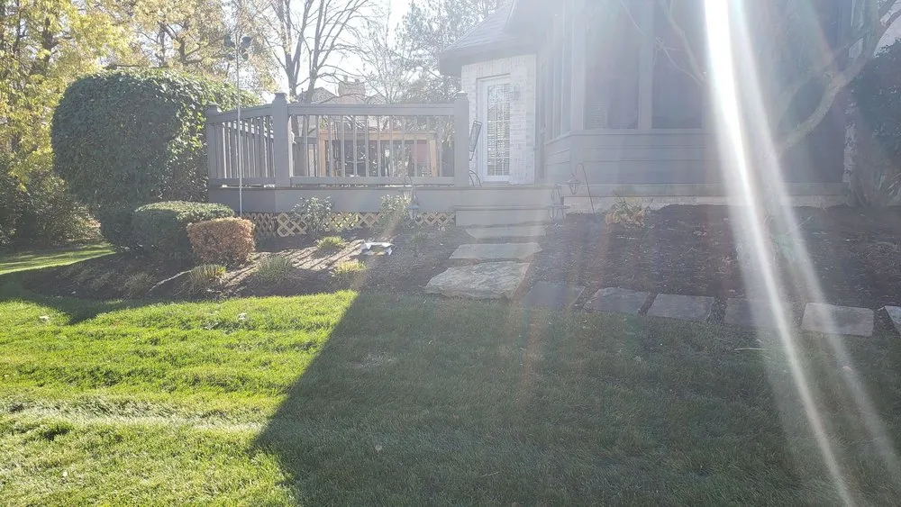 Top-rated yard cleanup service in Indianapolis, IN - Affordable Mowing Solutions