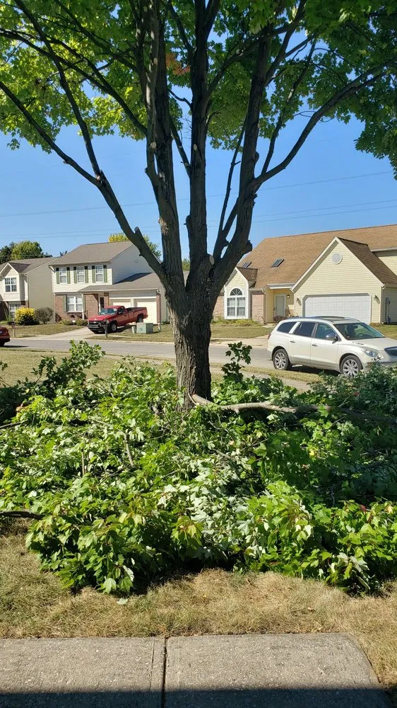 Professional lawn care service in Indianapolis, IN - Affordable Mowing Solutions