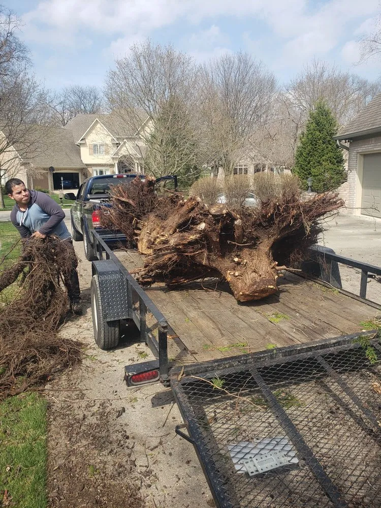 Expert lawn care service in Indianapolis, IN by Affordable Mowing Solutions