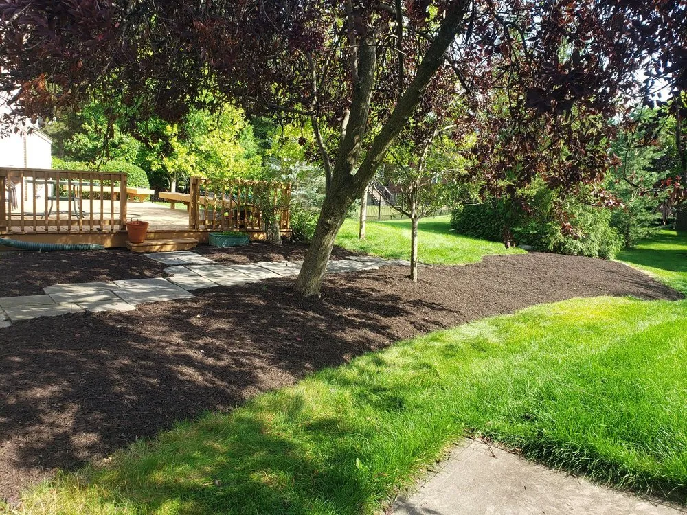 Affordable yard maintenance in Indianapolis, IN - Affordable Mowing Solutions