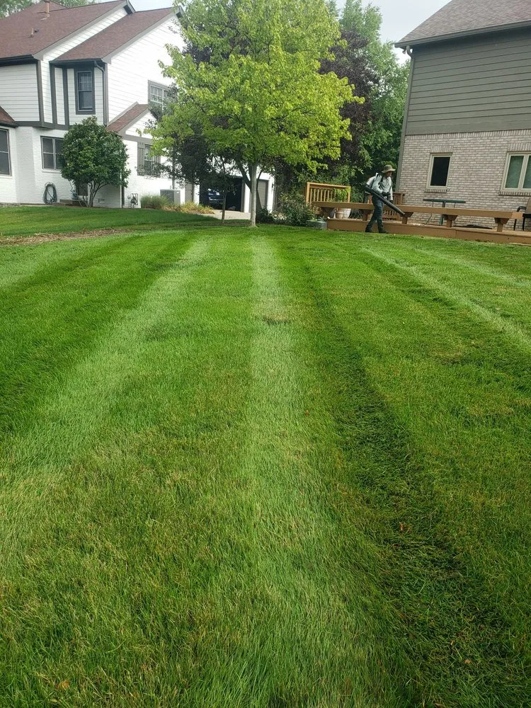 Affordable landscaping services for homes in Indianapolis, IN by Affordable Mowing Solutions