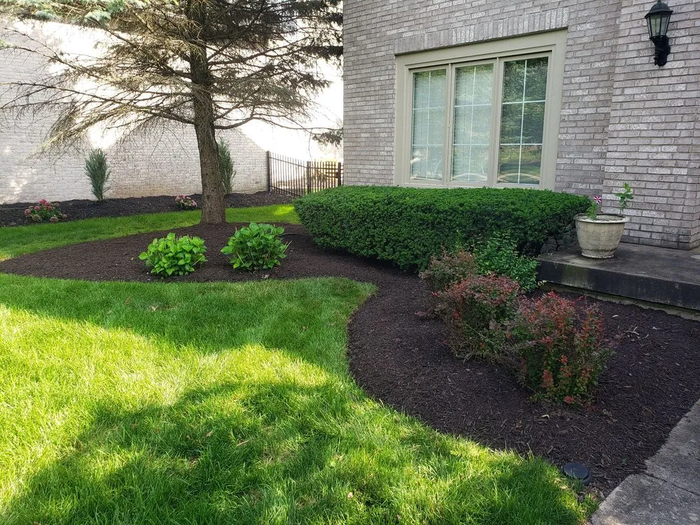 Local yard maintenance for beautiful yards across Indianapolis, IN - Affordable Mowing Solutions