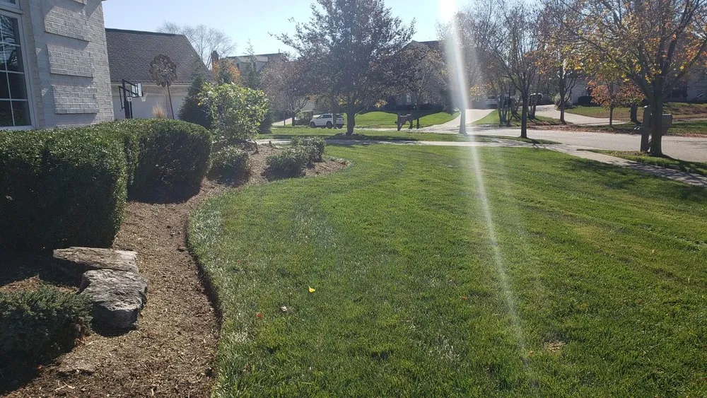 Local lawn mowing service in Indianapolis, IN by Affordable Mowing Solutions