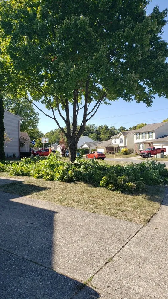 Reliable lawn mowing service near you across Indianapolis, IN - Affordable Mowing Solutions