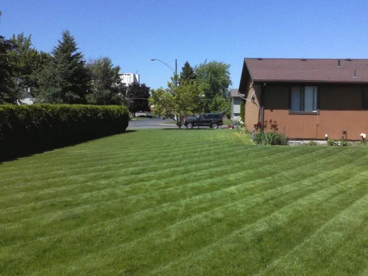 Local lawn mowing service in Spokane, WA - Affordable Option Lawn Care