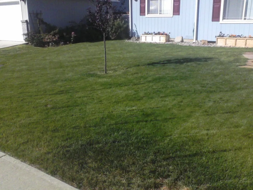 Local landscape design in Spokane, WA - Affordable Option Lawn Care