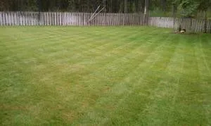 Local lawn mowing service in Spokane, WA by Affordable Option Lawn Care