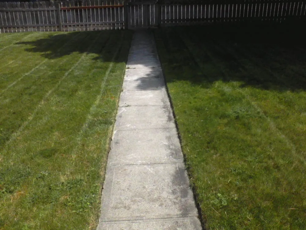 Top-rated yard cleanup service in Spokane, WA by Affordable Option Lawn Care