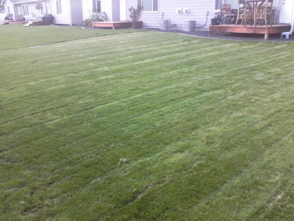 Reliable landscape installation in Spokane, WA - Affordable Option Lawn Care
