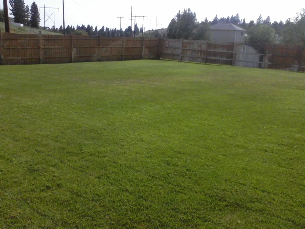 Affordable landscaping services near you in Spokane, WA by Affordable Option Lawn Care