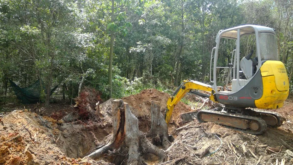 Custom lawn mowing service in Dagsboro, DE by AFFORDABLE Outdoor Maintenance