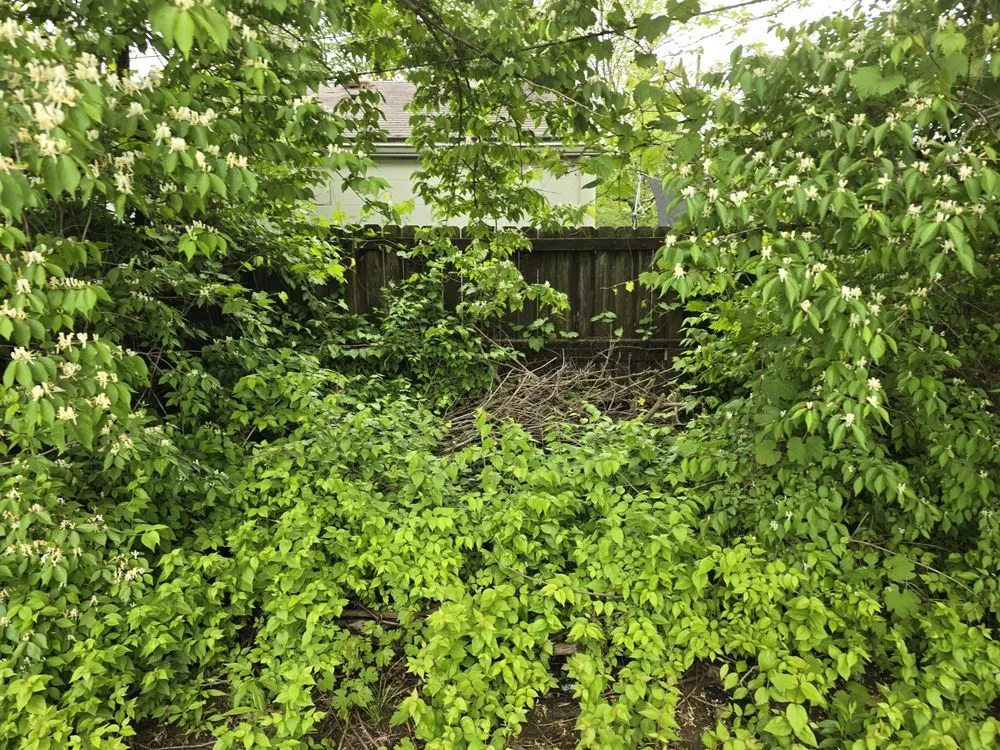 Reliable yard cleanup service in Delaware, OH - Affordable Outdoor Property Management