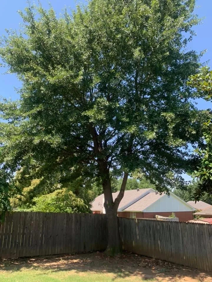 Reliable yard cleanup service for outdoor upgrades in Fort Smith, AR by Affordable Outdoor Services