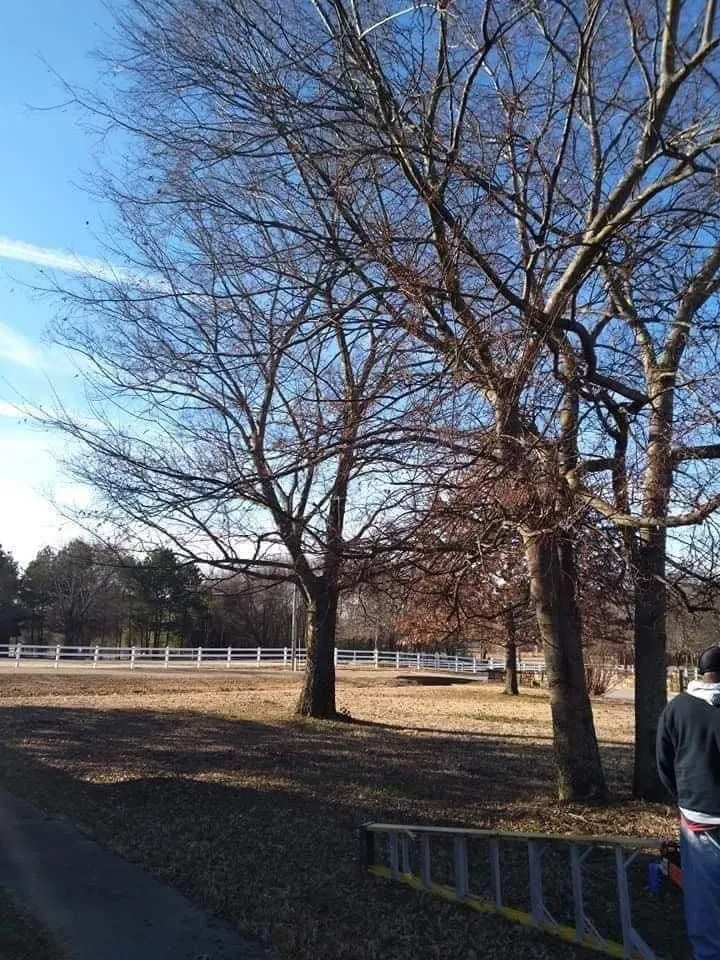 Affordable lawn mowing service in Fort Smith, AR by Affordable Outdoor Services