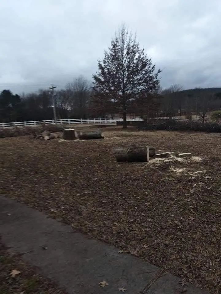 Top-rated yard cleanup service in Fort Smith, AR by Affordable Outdoor Services