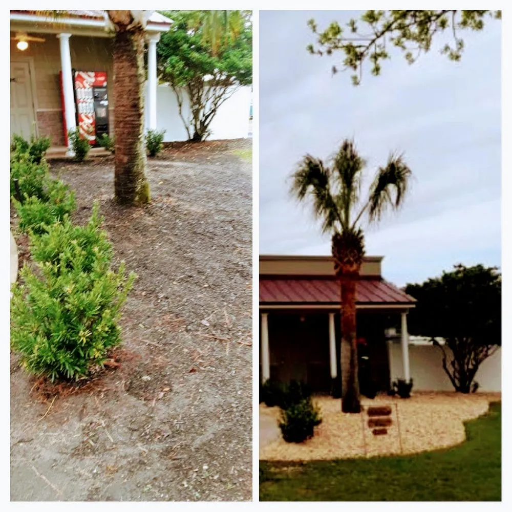 Custom residential landscaping experts serving Ocala, FL - Affordable Paradise Lawn Service