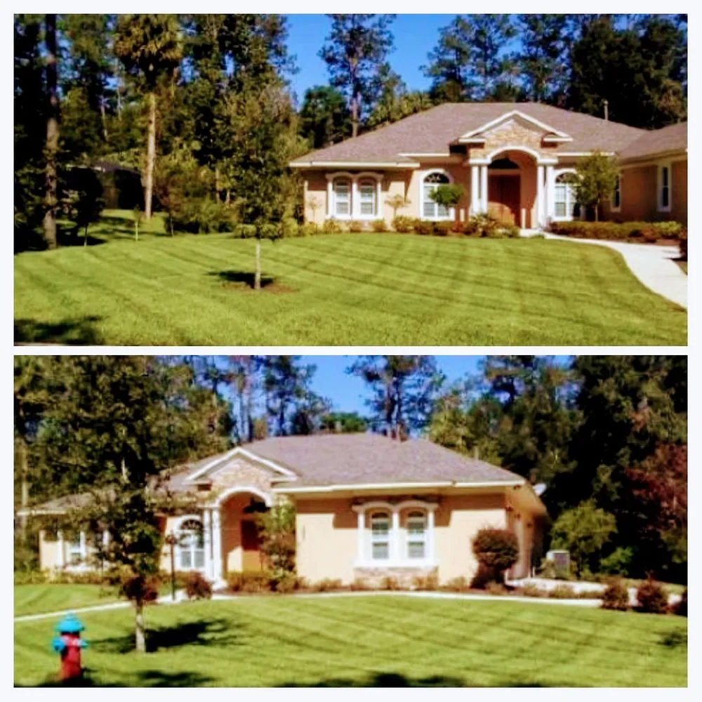 Trusted landscaping services in Ocala, FL - Affordable Paradise Lawn Service