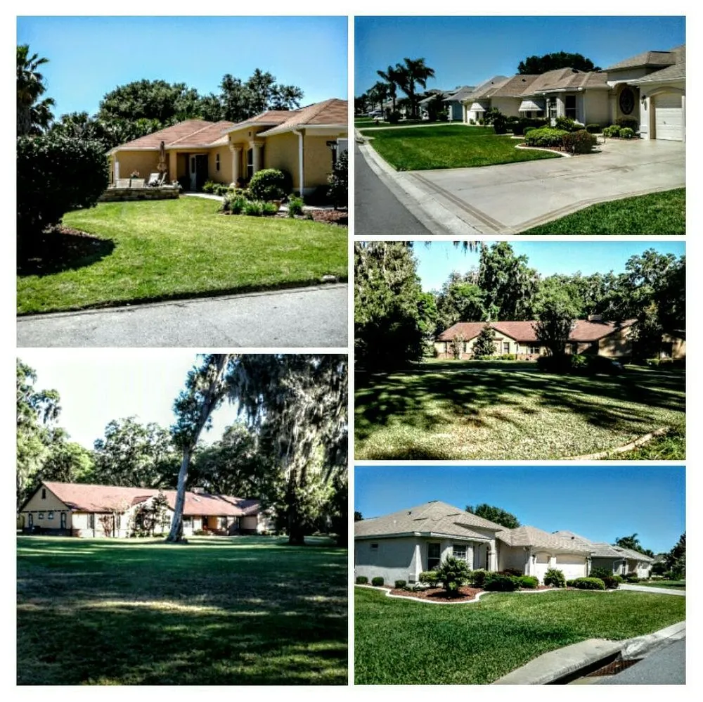 Local landscape design experts serving Ocala, FL - Affordable Paradise Lawn Service