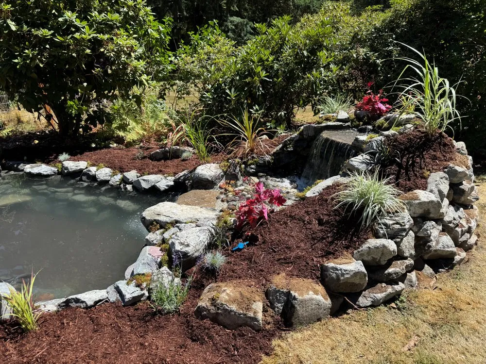 Local yard cleanup service in Seattle, WA - Affordable Ponds NW