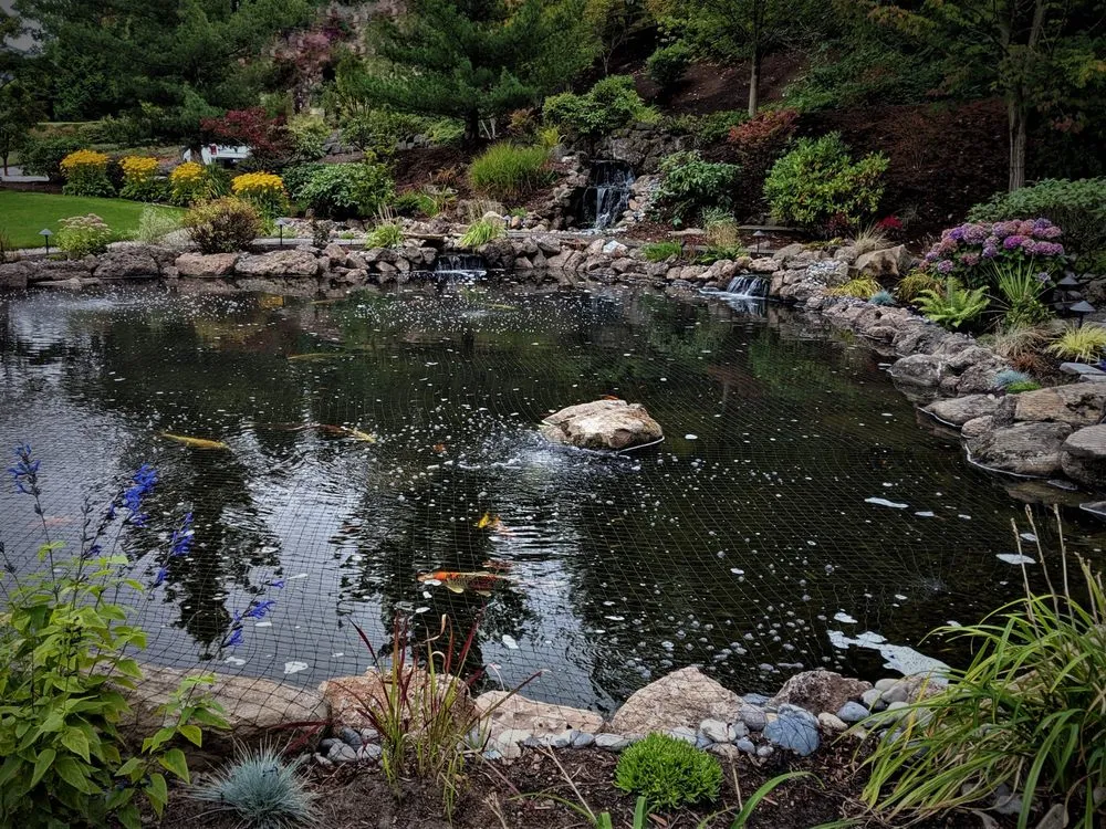 Affordable landscaping services in Seattle, WA by Affordable Ponds NW