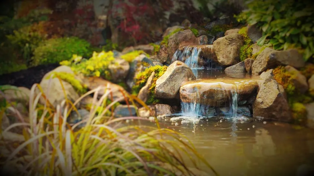 Professional lawn care service in Seattle, WA - Affordable Ponds NW