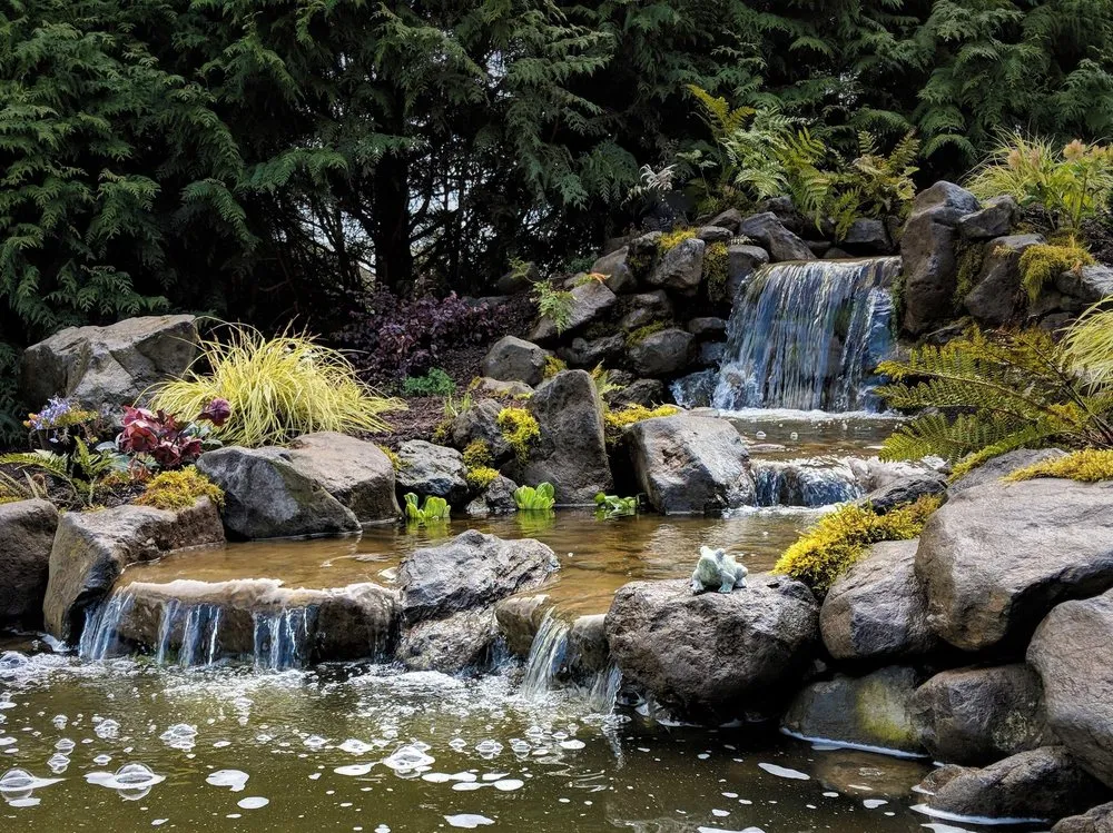 Expert yard cleanup service experts serving Seattle, WA - Affordable Ponds NW