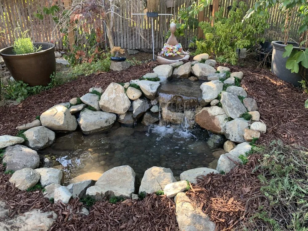 Affordable yard cleanup service in Seattle, WA by Affordable Ponds NW