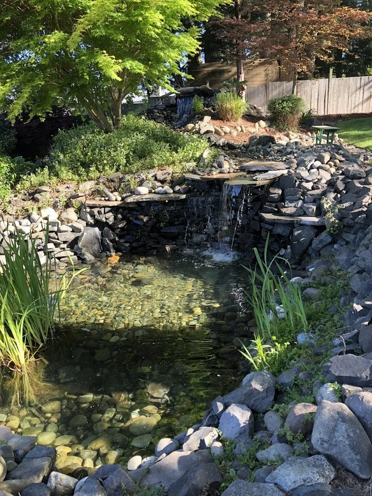 Affordable yard maintenance in Seattle, WA - Affordable Ponds NW