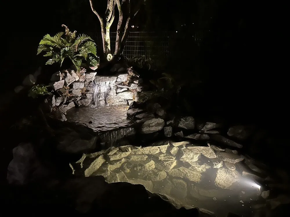 Affordable landscaping services for homes across Seattle, WA - Affordable Ponds NW