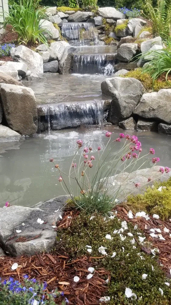 Trusted lawn mowing service for residential properties across Vancouver, WA - Affordable Ponds