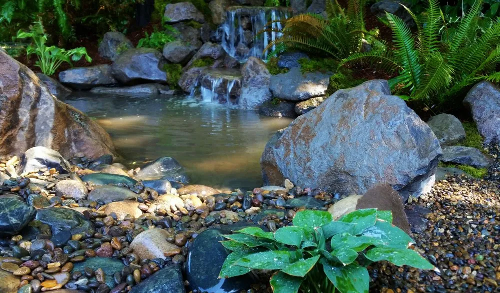 Top-rated lawn care service for outdoor upgrades in Vancouver, WA by Affordable Ponds