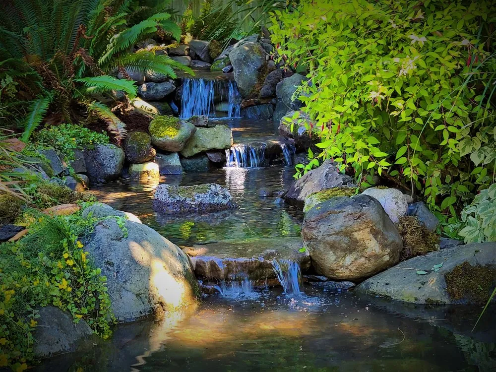 Reliable landscape design in Vancouver, WA by Affordable Ponds