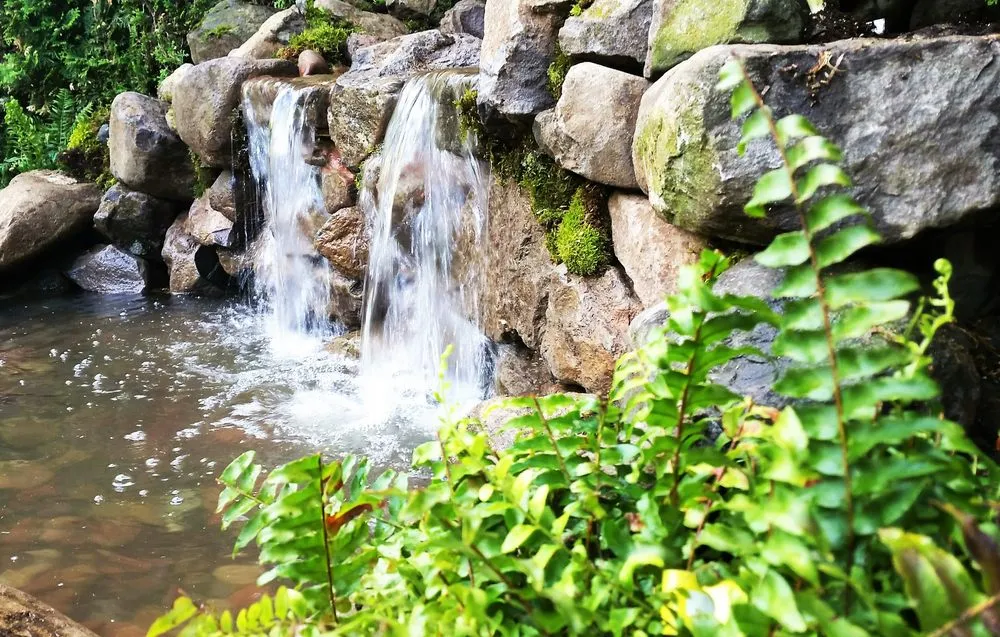 Local landscaping services in Vancouver, WA by Affordable Ponds