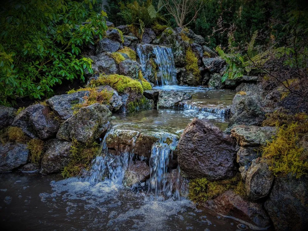 Professional lawn care service near you across Vancouver, WA - Affordable Ponds