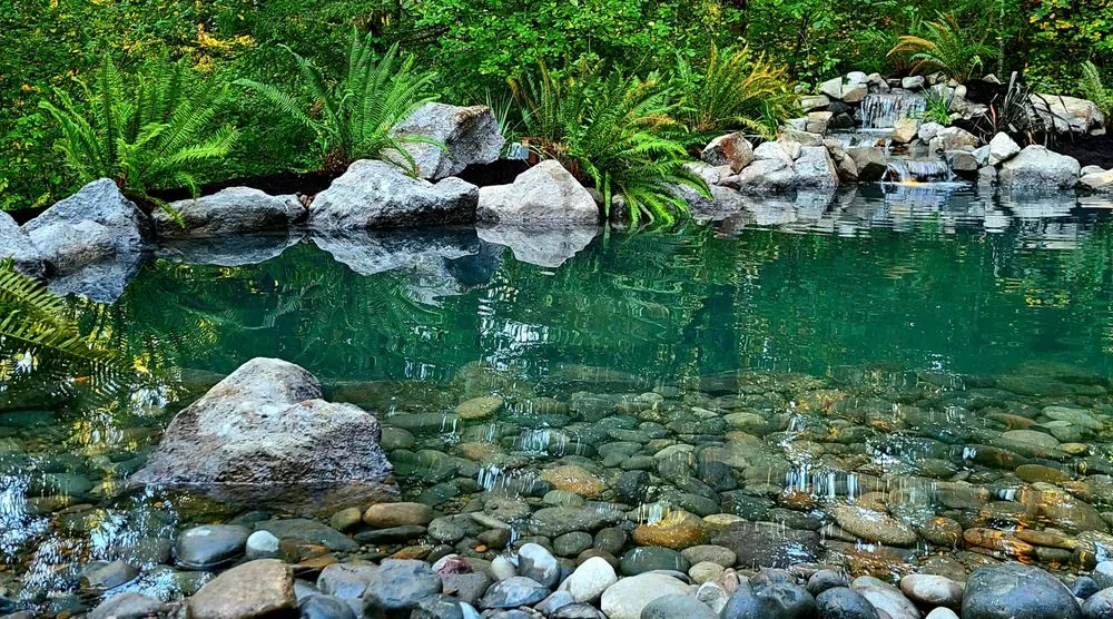 Reliable yard maintenance experts serving Vancouver, WA - Affordable Ponds